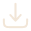 Download Icon